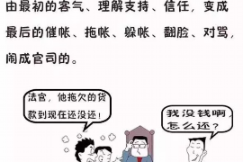 宿迁为什么选择专业追讨公司来处理您的债务纠纷？